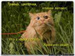Лучшие матрицы