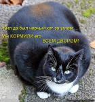 Лучшие матрицы