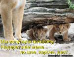 Лучшие матрицы