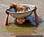 Лучшие матрицы