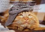 Лучшие матрицы
