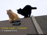 Лучшие матрицы