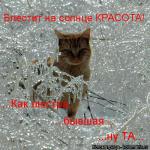 Лучшие матрицы