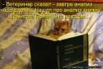 Лучшие матрицы