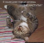 Лучшие матрицы