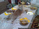 Лучшие матрицы
