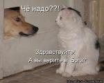 Лучшие матрицы