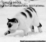Лучшие матрицы