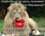 Лучшие матрицы