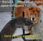 Лучшие матрицы