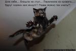 Лучшие матрицы