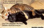 Лучшие матрицы