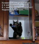 Лучшие матрицы