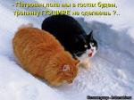 Лучшие матрицы