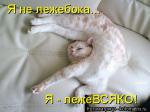 Лучшие матрицы