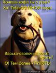 Лучшие матрицы
