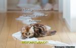 Лучшие матрицы