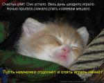 Лучшие матрицы