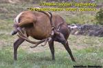 Лучшие матрицы