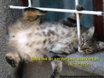 Лучшие матрицы