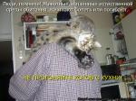 Лучшие матрицы