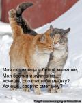Лучшие матрицы