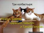 Лучшие матрицы