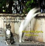 Лучшие матрицы