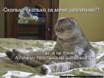 Лучшие матрицы