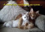 Лучшие матрицы