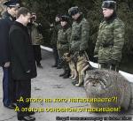 Лучшие матрицы