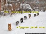 Лучшие матрицы