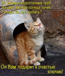 Лучшие матрицы