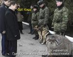 Лучшие матрицы