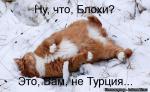 Лучшие матрицы