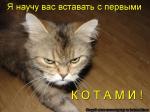 Лучшие матрицы