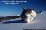 Лучшие матрицы