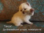 Лучшие матрицы