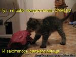 Лучшие матрицы