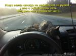 Лучшие матрицы
