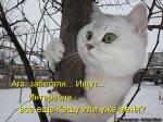 Лучшие матрицы