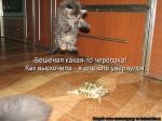 Лучшие матрицы
