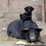 Лучшие матрицы