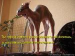 Лучшие матрицы