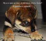 Лучшие матрицы