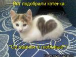 Лучшие матрицы