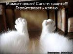 Лучшие матрицы