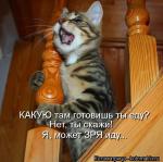 Лучшие матрицы