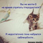 Лучшие матрицы