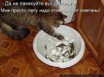 Лучшие матрицы